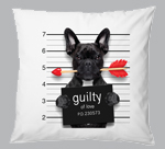 200mm² Scatter Cushion